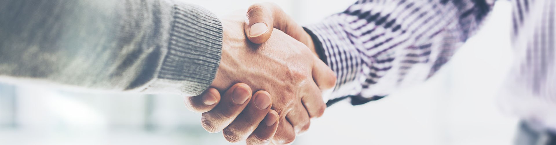 S 0003 Shutterstock 407664883